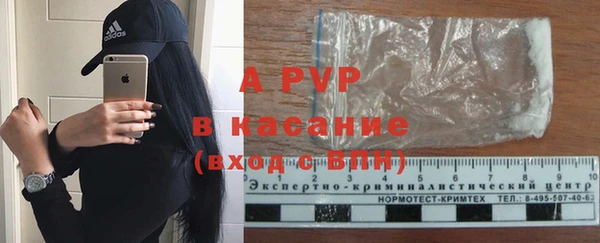 индика Лабытнанги