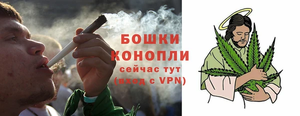 индика Лабытнанги