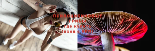 прущая мука Лагань