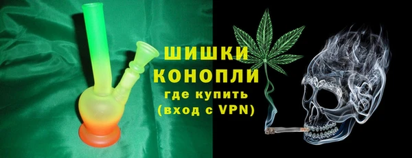 индика Лабытнанги