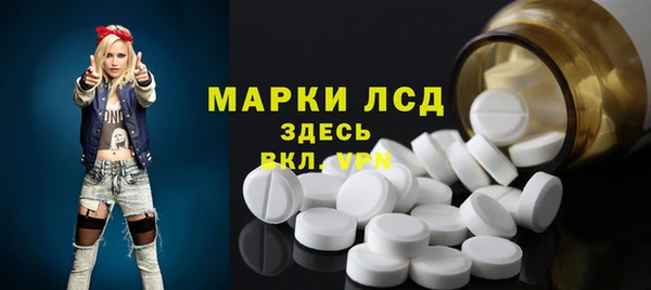 индика Лабытнанги