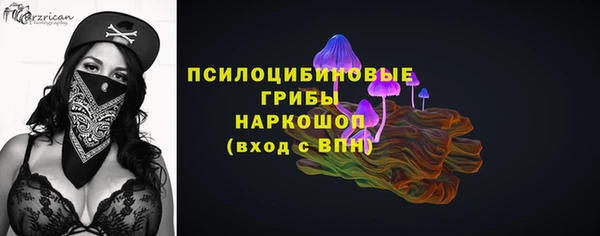 прущий лед Абаза