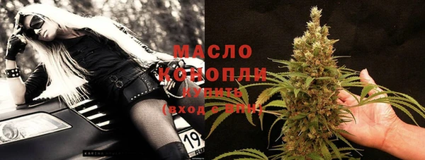 индика Лабытнанги