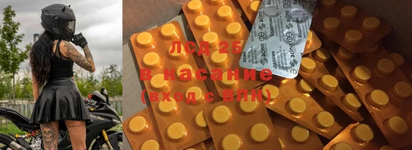 индика Лабытнанги