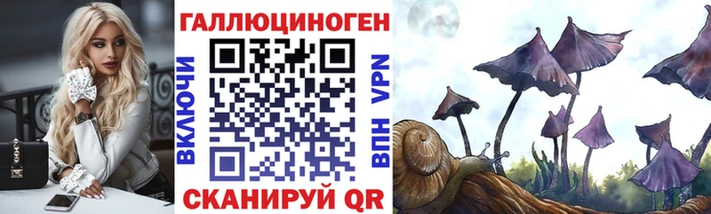 Галлюциногенные грибы MAGIC MUSHROOMS  Оренбург 