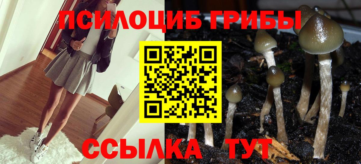 Оренбург  Псилоцибиновые грибы мухоморы  Вход с VPN  Псилоцибиновые грибы мухоморы 