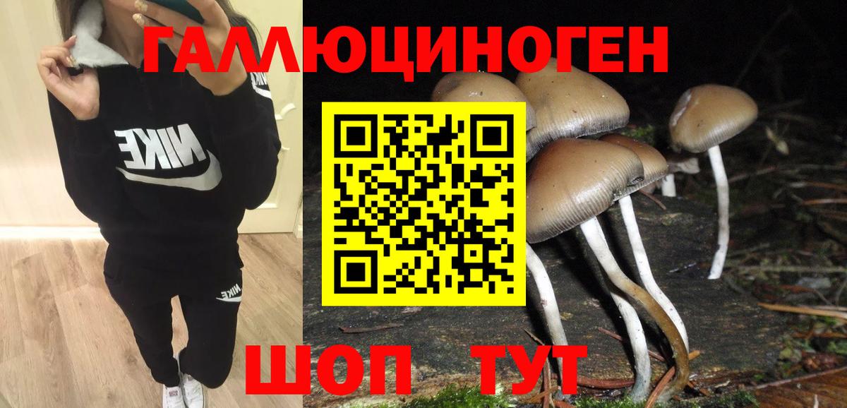 Псилоцибиновые грибы мухоморы Оренбург